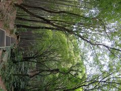 -穹窿山景区