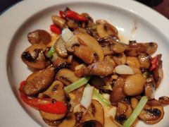 小炒口蘑-成都娃娃花园餐厅 (南艺旗舰店)