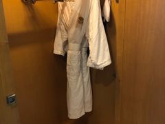 -新加坡文华东方酒店