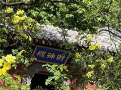 -潭柘寺景区