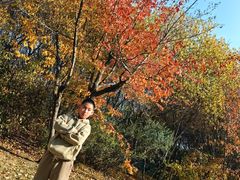 -长春公园(普阳街道)