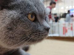 -银泰百货(北京大红门店)