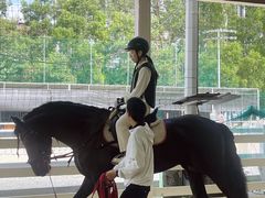 -名驭国际马术学院
