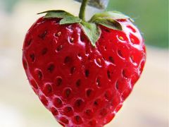 -创兴达酒店(深圳兴东地铁站店)