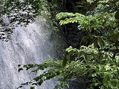 -波尔登森林公园