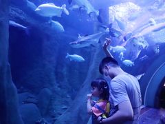 -成都浩海立方海洋公园