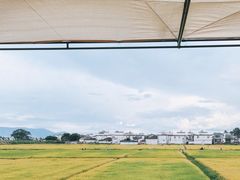 -喜林苑·稻田餐厅(品相府店)