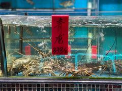 -海大大蒸汽海鲜餐厅·粤菜·特色小炒(欢乐颂店)