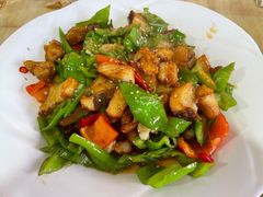 -煲来饱去冷水鱼