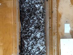 -红叶蛋糕(广达路总店)