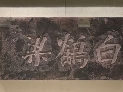 -白鹤梁水下博物馆