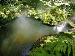 -Chom Cafe and Restaurant