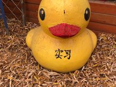 景点-青龙湖公园
