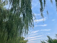 -济南大明湖景区
