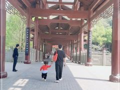 -重庆彩云湖湿地公园