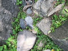 -碓臼峪自然风景区