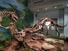 -自贡恐龙博物馆