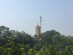 -白云山风景名胜区