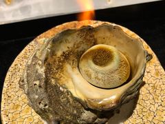 -橼舍鮨青木