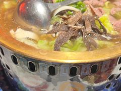-天辣(金桥啦啦宝都店)