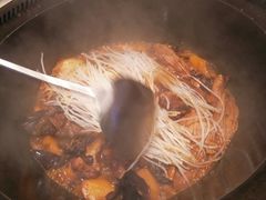 -挂雪铁锅炖大鹅