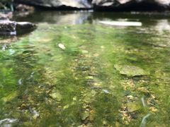 -三门江国家森林公园