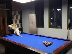 -Shadow轰趴馆(大学城店)