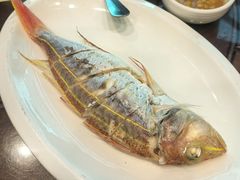 -长平肥姐白粥·海鲜打冷