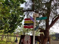 -漳州滨海火山岛自然生态风景区