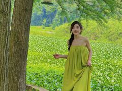 -南宁良凤江国家森林公园