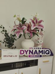 -WENDY·温迪皮肤管理