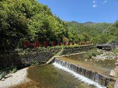 -牛背梁国家森林公园