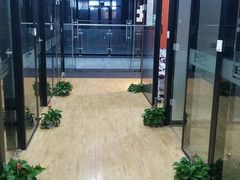 -七弦之上钢琴培训学校