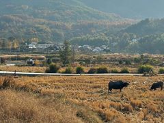 -黟县屏山村