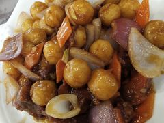 -邵年鸽(杨庄店)