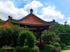 -顺峰山公园