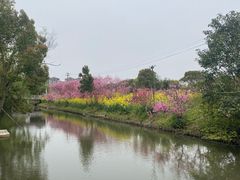 -南汇桃花村