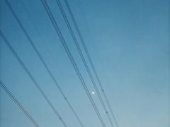 -四海公园(南山区)