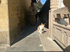 -西园戒幢律寺