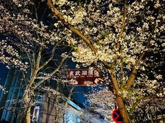 -鸡鸣寺
