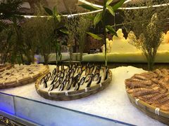 -小天鹅戴斯酒店鲸鲨百汇创作料理