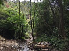 -木兰云雾山