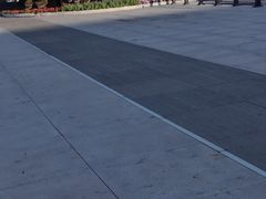 -辽宁电视塔