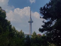 -龙塔