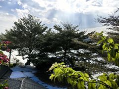 -顺德了能馆(虎门店)