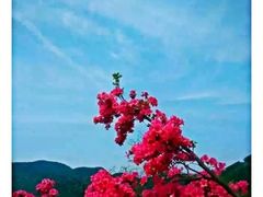 -木兰云雾山