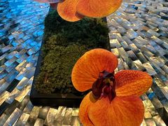 -北京饭店谭家菜