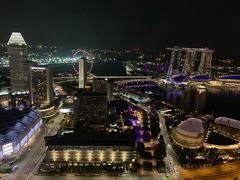 -新加坡瑞士史丹福酒店