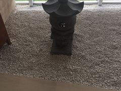 -天津滨海圣光皇冠假日酒店 霞·日餐厅