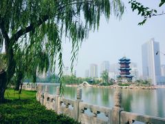 -迎泽公园